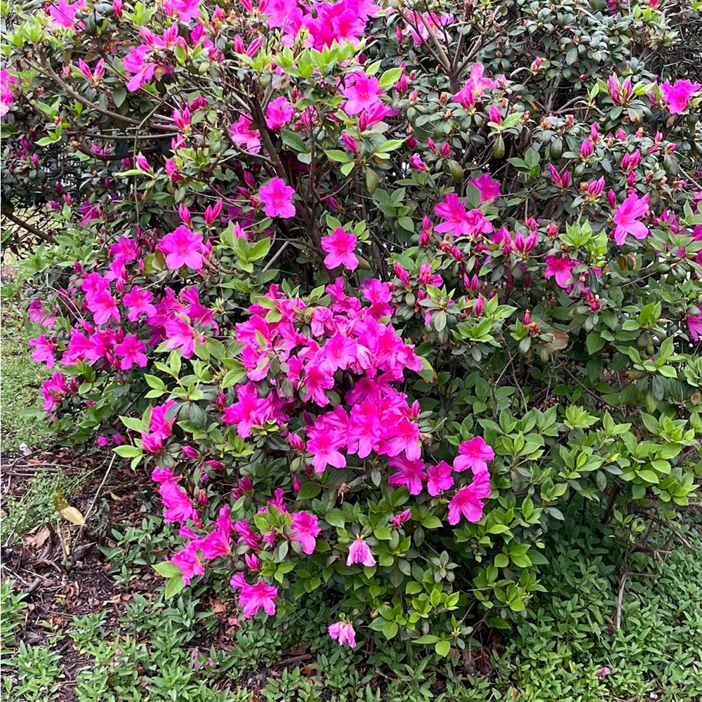 Meet your Posher, Cathy